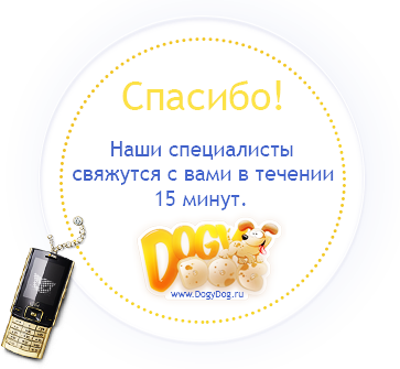 Спасибо!